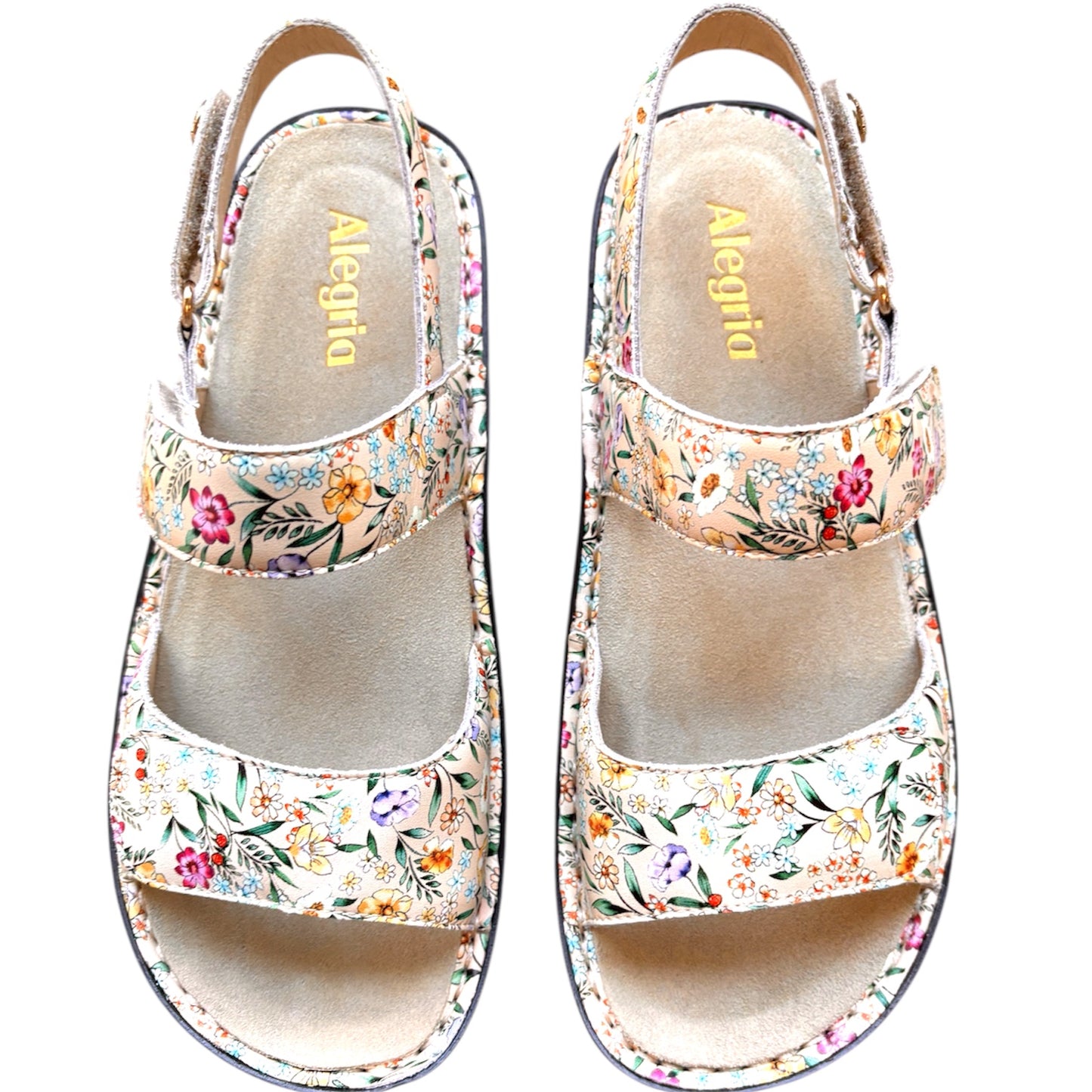 Alegria Verona Summer Thyme