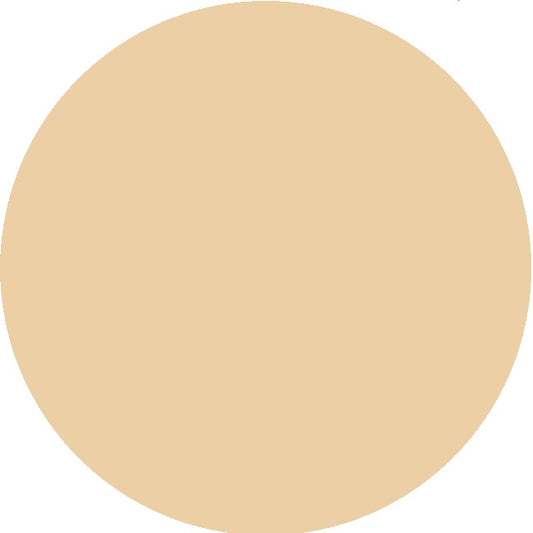 Gloves - Faux Fur Aztec