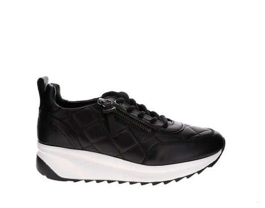 Le Sansa Alba Sneaker - Black