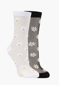 Bamboozld 2pk daisy sheer quarters