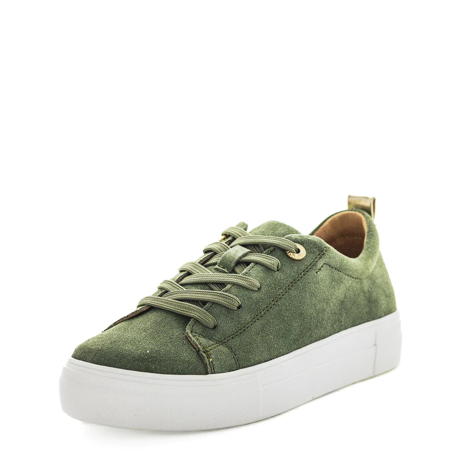 Just Bee Calex Suede Sneaker