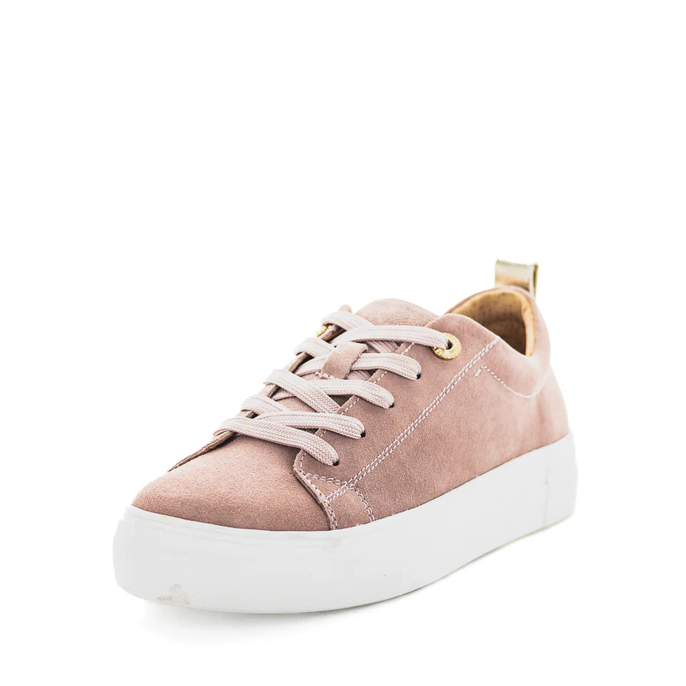 Just Bee Calex Suede Sneaker