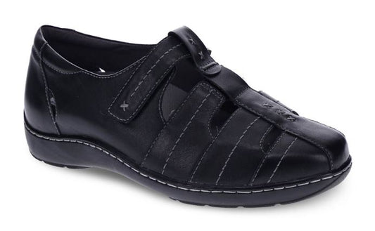 Scholl Wendy Black