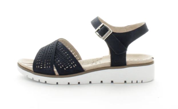 Just Bee Charmer Navy