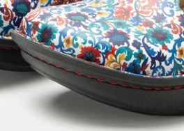 Alegria Paloma Primary Party