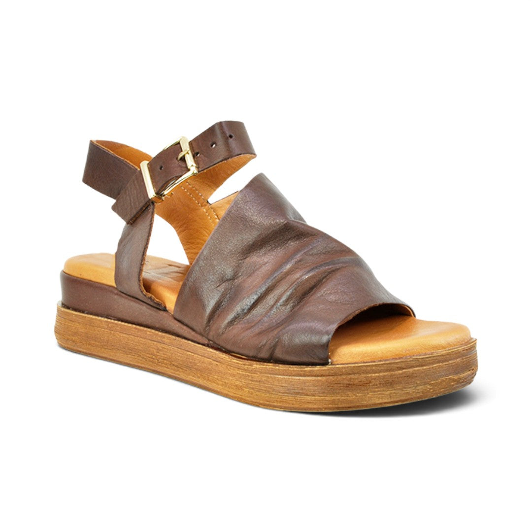 The Happy Shoe Shop Sala Positano brown leather wedge sandals with an open toe and adjustable ankle buckle strap.