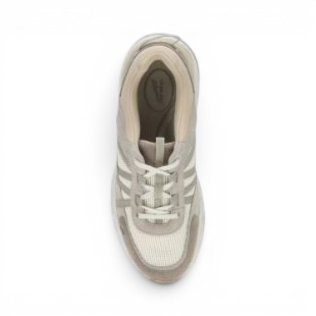 The Happy Shoe Shop Dansko Poppy beige leather and mesh walking sneaker, top-down view showing lace-up design.