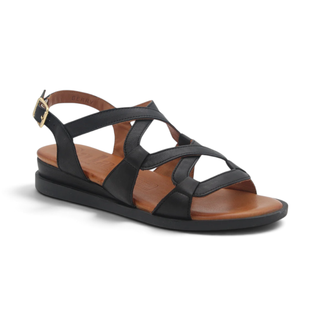 The Happy Shoe Shop Sala Berry black leather flat sandal with delicate crisscross straps and gold buckle closure.
